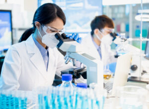 photo of researchers looking through microscopes