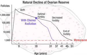 Natural Decline of Ovarian Reserve Chart