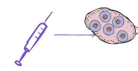 an illustration of a hormone shot and a cell